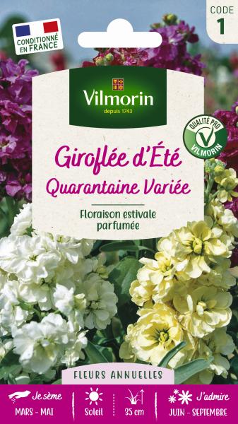 Fleurs - Giroflée d'Eté Quarantaine Variée - PACKAGING_RECTO